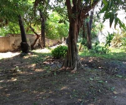 Krapf Memorial Park(历史遗产 / 博物馆)-非行家旅行-Africa Wild Wander