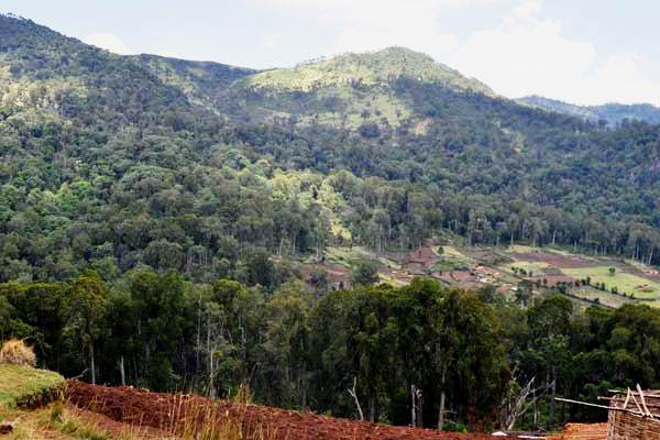 Vihiga County（维希加县）-非行家旅行-Africa Wild Wander
