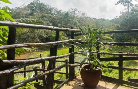 Shimba Hills Lodge（保护区 / 野生动物）-非行家旅行-Africa Wild Wander