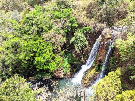 Ndaragwa Falls（瀑布 / 森林水系）-非行家旅行-Africa Wild Wander