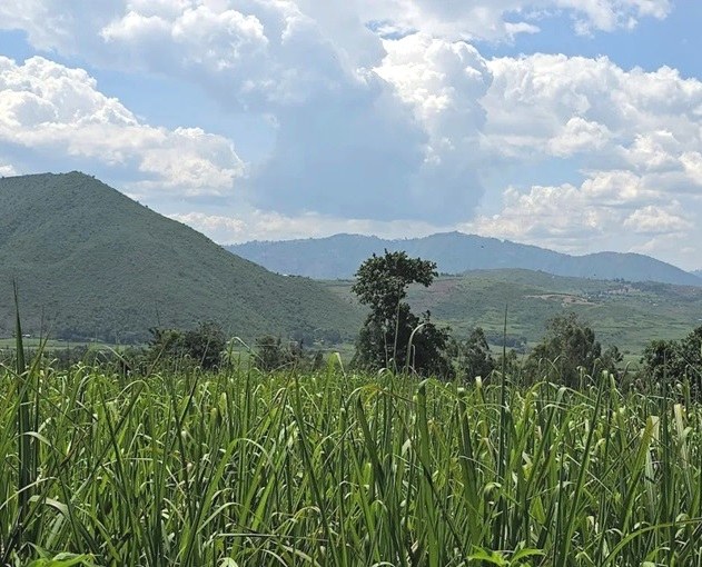 Kopere Rocks（山地 / 观景点）-非行家旅行-Africa Wild Wander