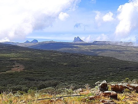 Mount Kenya One-Day Trip（Mount Kenya / 高山路线）-非行家旅行-Africa Wild Wander