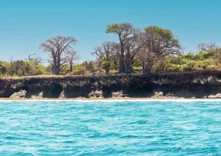 Wasini Ruins（海洋保护 / 海岛体验）-非行家旅行-Africa Wild Wander