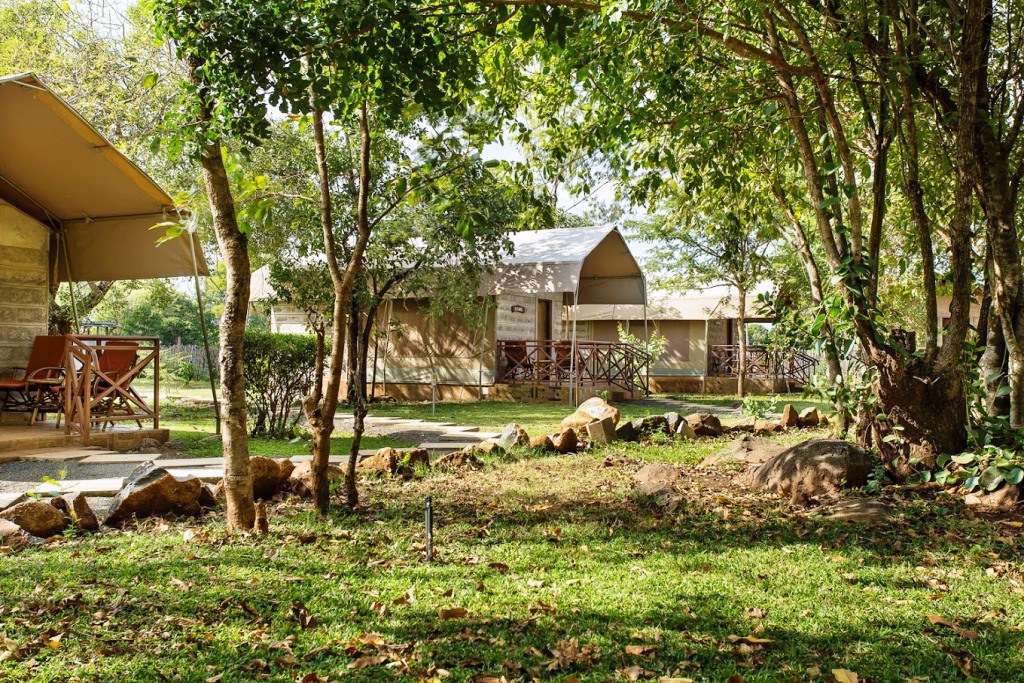 Tetura Camp（住宿休闲 / 周末营地）-非行家旅行-Africa Wild Wander