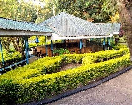 Meru Sports Club（住宿休闲 / 城市服务）-非行家旅行-Africa Wild Wander