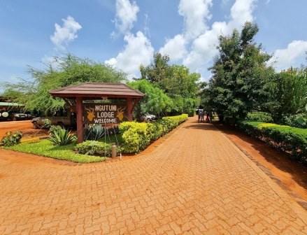 Ngutuni Wildlife Lodge（保护地 / 私营保护区）-非行家旅行-Africa Wild Wander