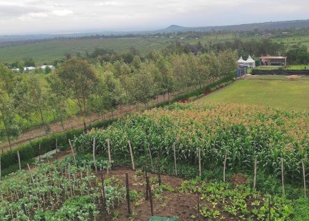 Fairway Residence(住宿休闲 / 艺术度假)-非行家旅行-Africa Wild Wander