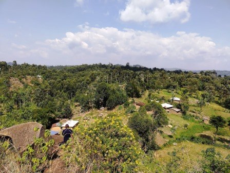 Turaco Resort（蕉鹃度假村）-非行家旅行-Africa Wild Wander