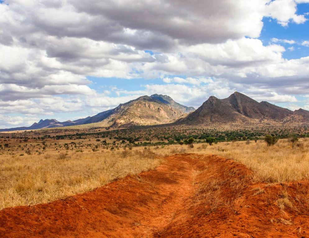 Ngulia Hills（Tsavo West / 火山与泉水）-非行家旅行-Africa Wild Wander