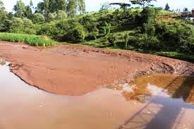 Nyangores River（水系 / 湖泊 / 海岸）-非行家旅行-Africa Wild Wander