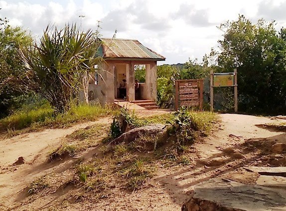 Elephant Lookout（保护区 / 野生动物）-非行家旅行-Africa Wild Wander