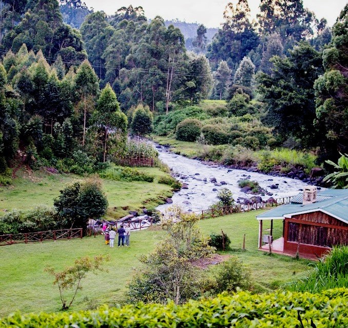 Mathioya River Lodge（河流 / 瀑布 / 水库）-非行家旅行-Africa Wild Wander