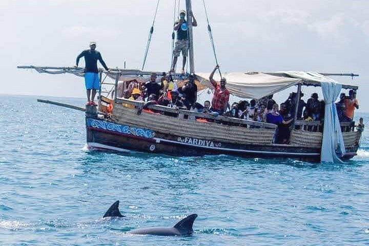 Wasini Dolphin Tour(海洋保护 / 海岛体验)-非行家旅行-Africa Wild Wander