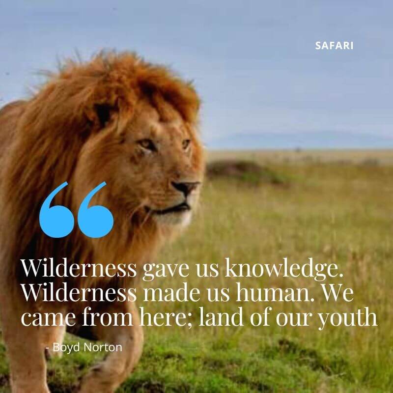 肯尼亚 Safari 传统与旅游遗产-非行家旅行-Africa Wild Wander