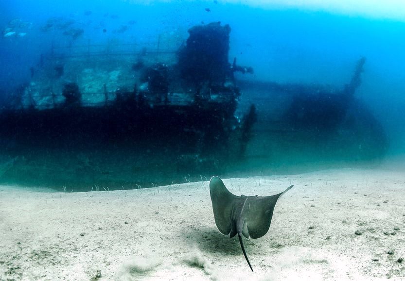 Funguo Wreck（县域目的地）-非行家旅行-Africa Wild Wander