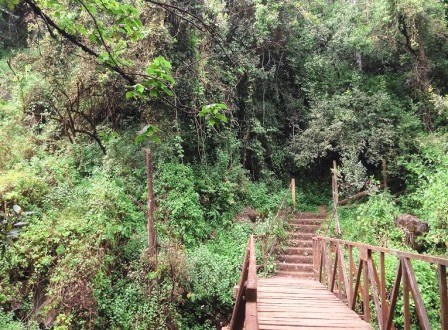Ndaragwa Falls（瀑布 / 森林水系）-非行家旅行-Africa Wild Wander