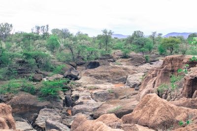 Olduka Valley-非行家旅行-Africa Wild Wander