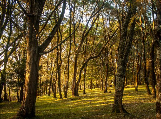 Kimng'ochoch Conservancy-非行家旅行-Africa Wild Wander