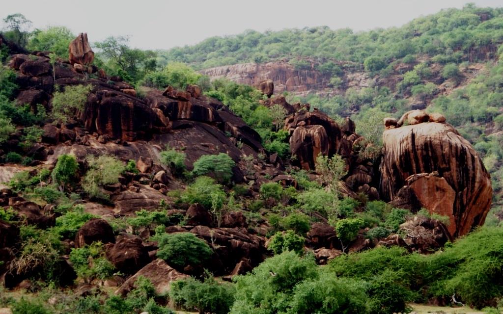 Dandu Hills（自然景观 / 徒步）-非行家旅行-Africa Wild Wander