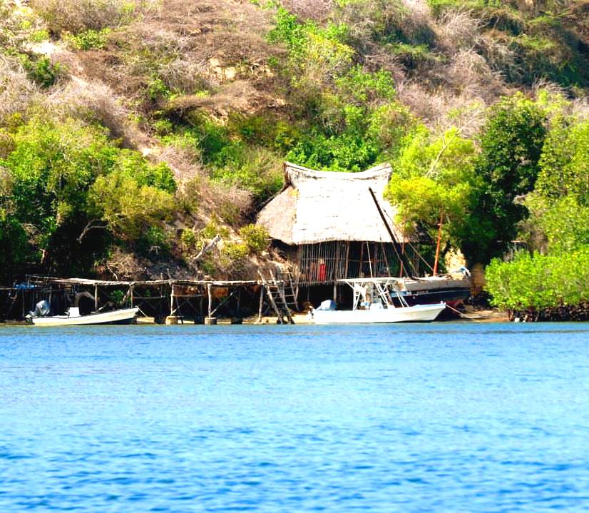 Kiwayu Island（海岛 / 海滩 / 船行体验）-非行家旅行-Africa Wild Wander