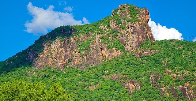 Malabar Hill（自然景观 / 徒步）-非行家旅行-Africa Wild Wander