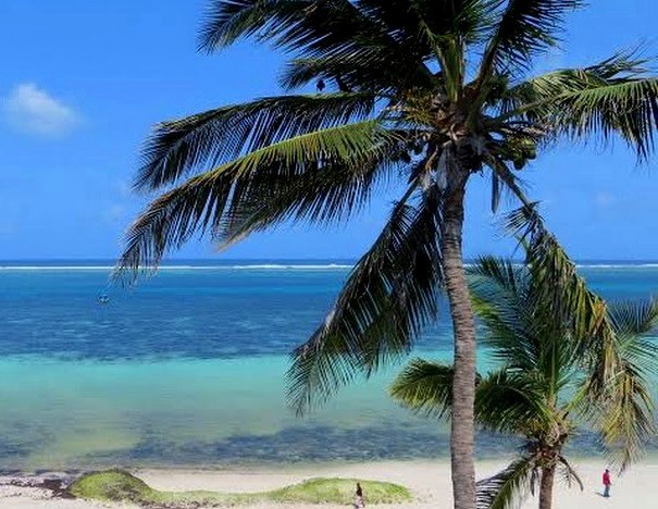 Mombasa(蒙巴萨)概览-非行家旅行-Africa Wild Wander