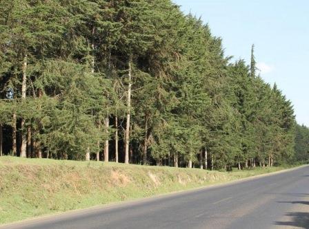Forests in Kenya（水系 / 湖泊 / 海岸）-非行家旅行-Africa Wild Wander