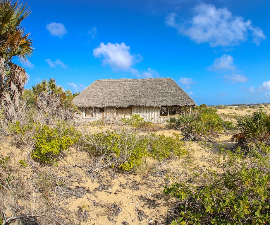 Kizingoni Beach（海岛 / 海滩 / 船行体验）-非行家旅行-Africa Wild Wander