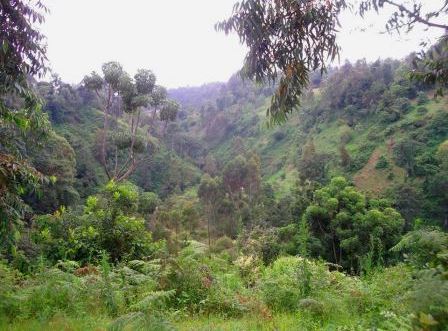 Kathita Falls（地貌 / 瀑布 / 泉水）-非行家旅行-Africa Wild Wander