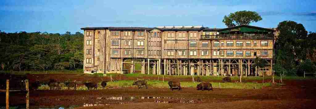 Nyeri County（县域概览）-非行家旅行-Africa Wild Wander