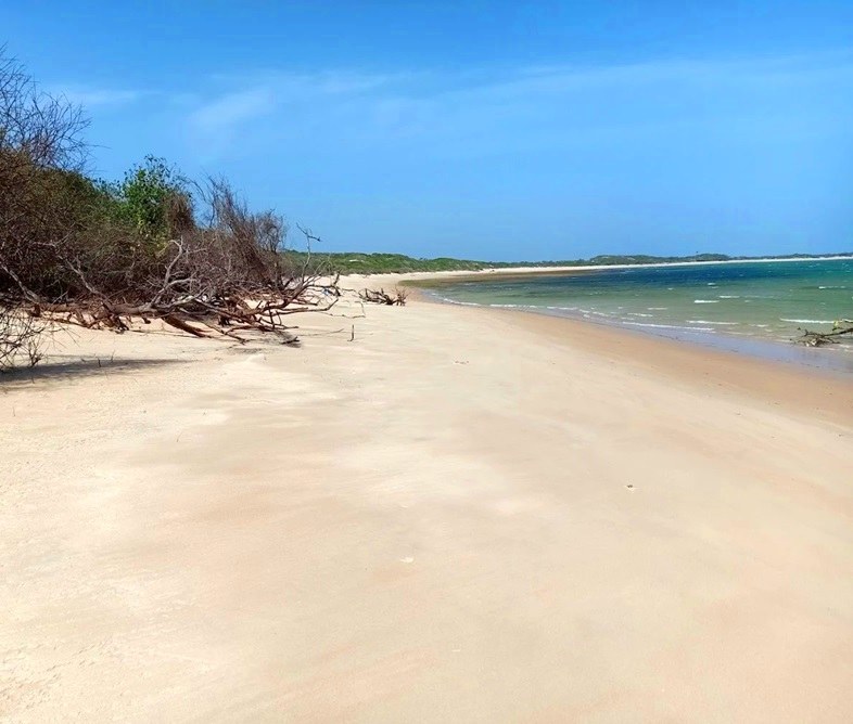 Kiunga Marine National Reserve（基翁加海洋国家保护区）-非行家旅行-Africa Wild Wander