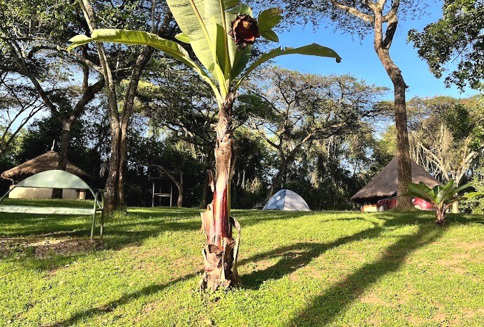 Saiwa Swamp National Park（赛瓦沼泽国家公园）-非行家旅行-Africa Wild Wander