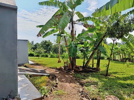 Kwetu Home（Kwetu 乡居）-非行家旅行-Africa Wild Wander