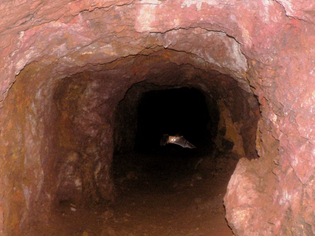 Lirhanda Cave（利尔汉达洞穴）-非行家旅行-Africa Wild Wander