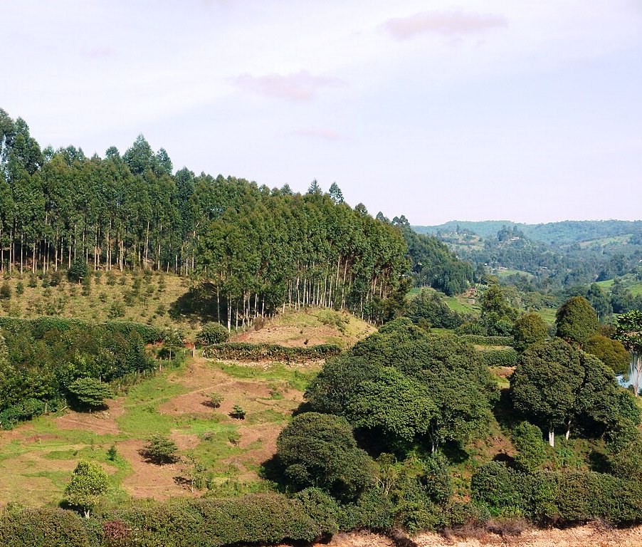 Ndakaini Dam（恩达凯尼水库）-非行家旅行-Africa Wild Wander