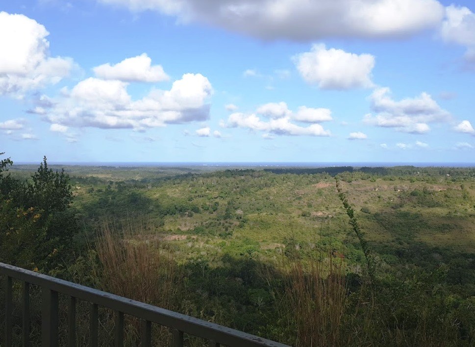 Elephant Lookout（保护区 / 野生动物）-非行家旅行-Africa Wild Wander
