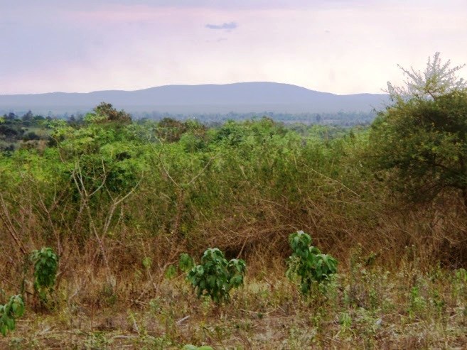 Siaya County（县域概览）-非行家旅行-Africa Wild Wander