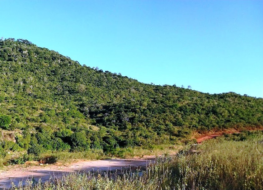 Nyalani Dam（社区生态 / 自然教育）-非行家旅行-Africa Wild Wander