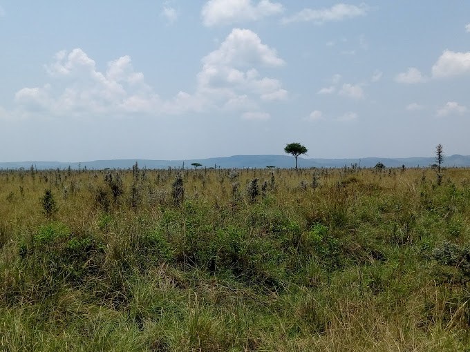 Ruma National Park（水系 / 湖泊 / 海岸）-非行家旅行-Africa Wild Wander