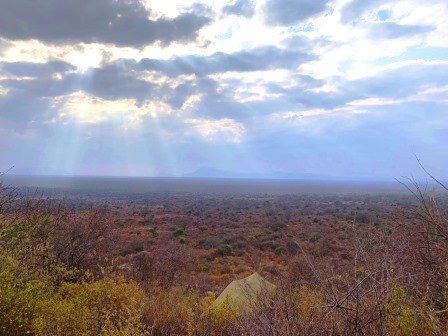 Mbulia Conservancy（保护地 / 私营保护区）-非行家旅行-Africa Wild Wander