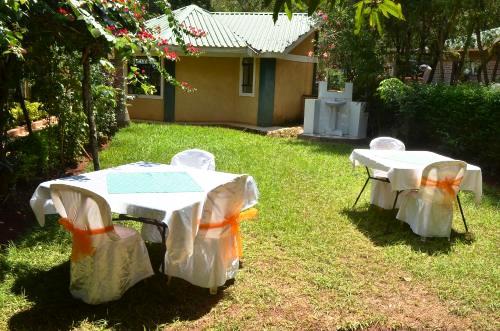 Roddy’s Green Lounge(罗迪绿色休闲营地)-非行家旅行-Africa Wild Wander