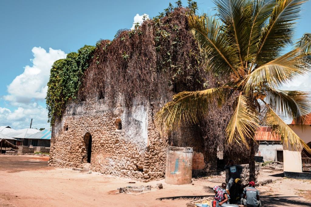Vanga Ruins（斯瓦希里遗产 / 文化景观）-非行家旅行-Africa Wild Wander