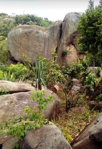 Vihiga County（维希加县）-非行家旅行-Africa Wild Wander