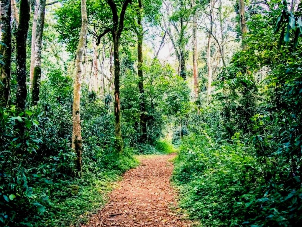 Lirhanda Cave（利尔汉达洞穴）-非行家旅行-Africa Wild Wander