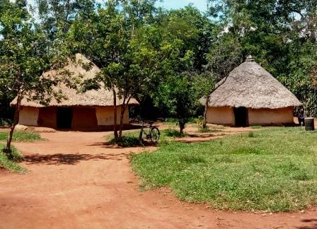 Nabongo Cultural Centre（纳邦戈文化中心）