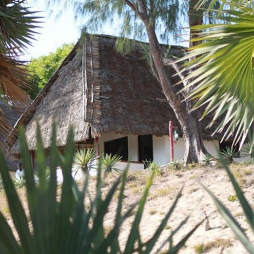 Tana River Lodge（水系 / 湖泊 / 海岸）-非行家旅行-Africa Wild Wander