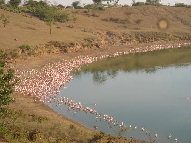 Lake Simbi Nyaima（水系 / 湖泊 / 海岸）-非行家旅行-Africa Wild Wander