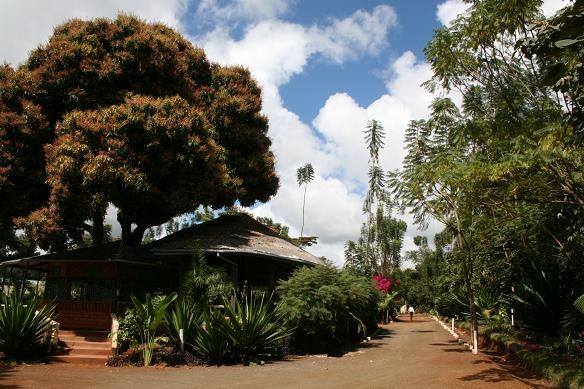 Thuci River Lodge（水系 / 湖泊 / 海岸）-非行家旅行-Africa Wild Wander
