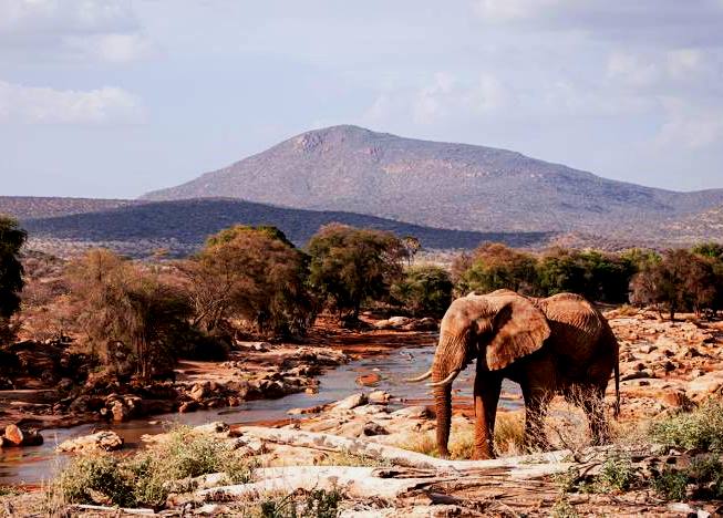 Shaba National Reserve（水系 / 湖泊 / 海岸）-非行家旅行-Africa Wild Wander
