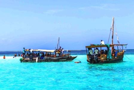 Kisite-Mpunguti Marine Park & Reserve（基西特-姆蓬古蒂海洋公园与保护区）-非行家旅行-Africa Wild Wander